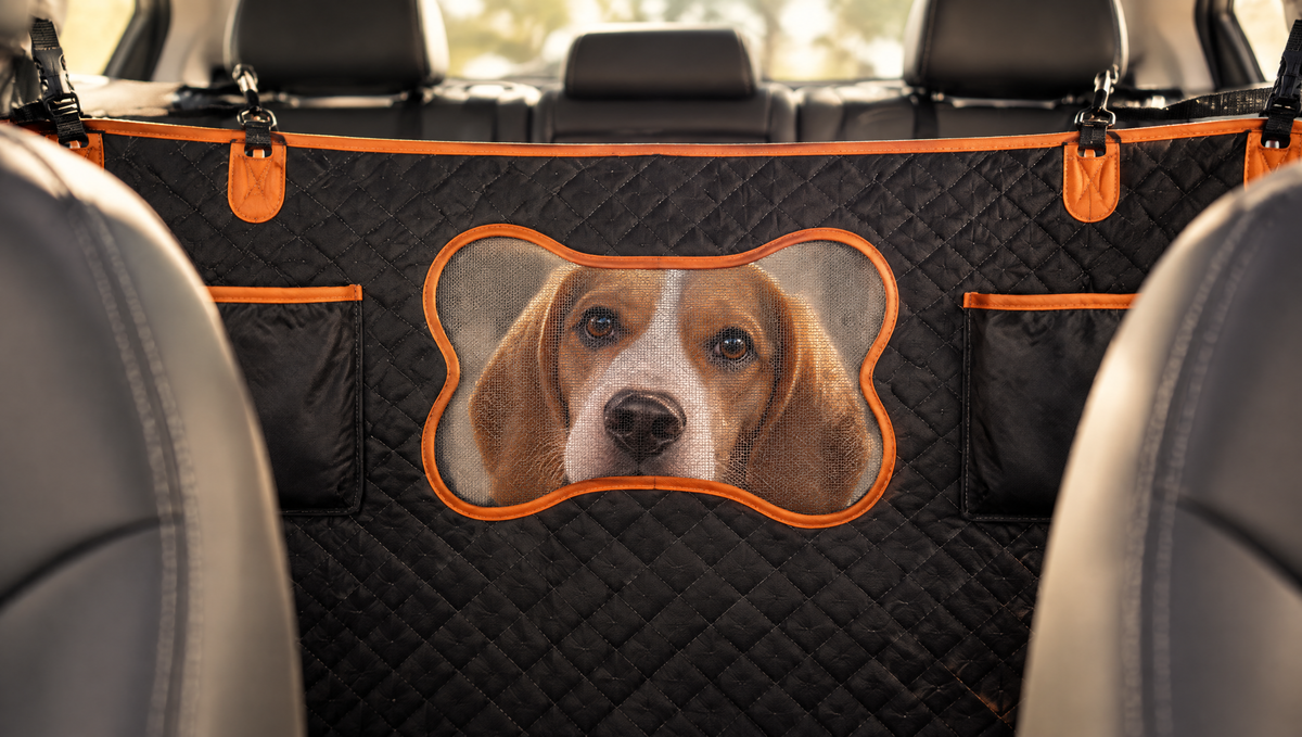 Beagle looking through the WagPilot mesh window between the front seats (illustrative image)